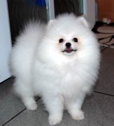 ô죨ͼ