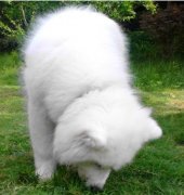 ĦҮȱô