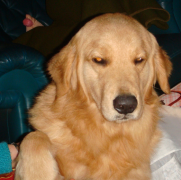 ǰȹؽô