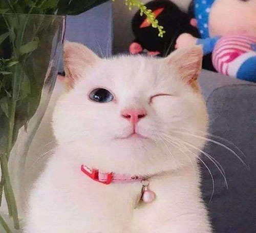 ȵǰĳů ˶Ҳд